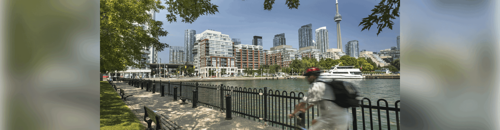 Blooming Nature Escapes: 4 Great Parks Near Fleming College Toronto Campus