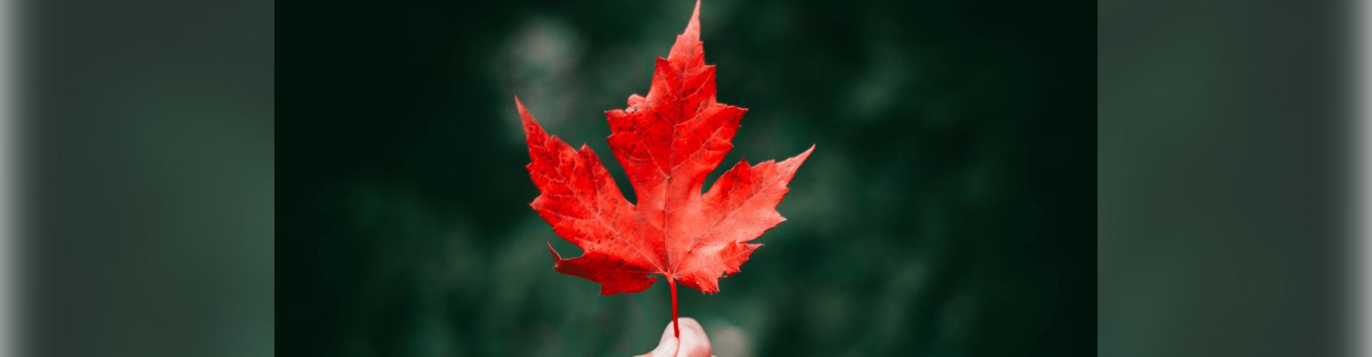 Canadian Symbols and Icons: What Do They Mean?